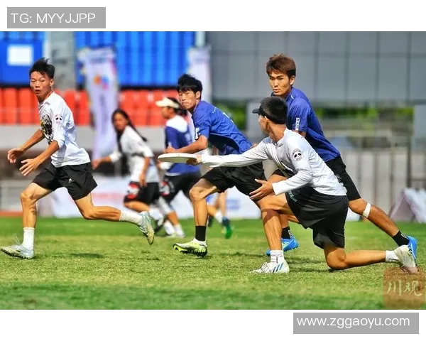 聚焦飞盘运动杭州飞盘队如何通过团队协作提升竞技水平与默契配合